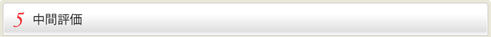 5 中間評価