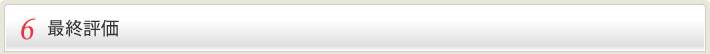 6 最終評価