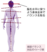 脳を水平に保つよう身体全体でバランスを取る│頭部バランス対応のイメージ図