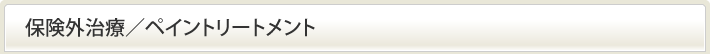 保険外治療／ペイントリートメント