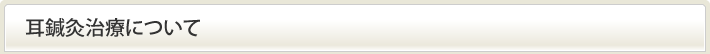 耳鍼灸治療について